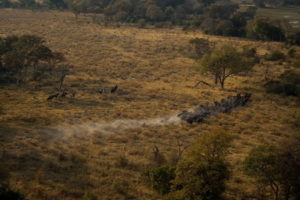 Dovolená na koni: Okavango Horse Safaris