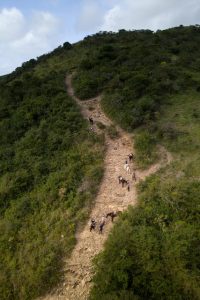 Dovolená na koni: Wild Coast Horse Safari