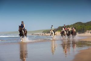 Dovolená na koni: Wild Coast Horse Safari