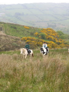 Dovolená na koni: Galway Clare Burren Trail