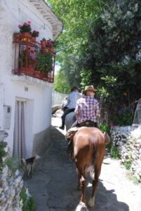 Dovolená na koni: Alpujarra Trail