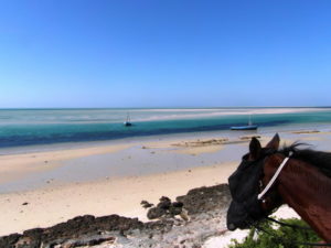 Dovolená na koni: Mozambique Horse Safari