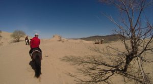 Dovolená na koni: Poušť Gobi – Údolí Orkhon – Park Naiman Nuur