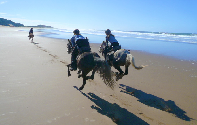 Dovolená na koni: Wild Coast Horse Safari
