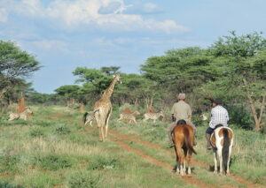 Dovolená na koni: Kambaku Safari Lodge