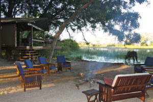 Dovolená na koni: Okavango Horse Safaris