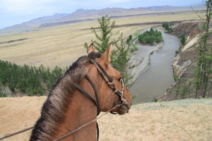 Dovolená na koni: Randocheval Mongolia