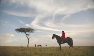 Dovolená na koni: Masai Mara Unlimited