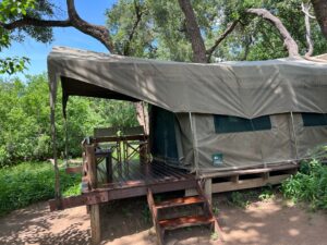 Dovolená na koni: Mashatu Valley Tuli Trail