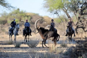 Dovolená na koni: Okapuka Horse Safari