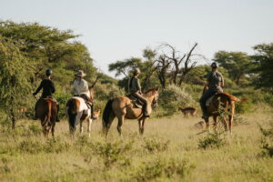 Dovolená na koni: Kambaku Safari Lodge