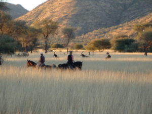 Dovolená na koni: Okapuka Horse Safari