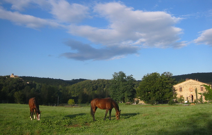 Dovolená na koni: Jezdecké centrum Berardenga
