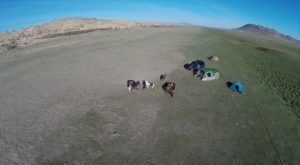 Dovolená na koni: Poušť Gobi – Údolí Orkhon – Park Naiman Nuur