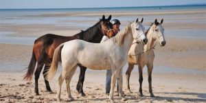 Dovolená na koni: Mosambik Expres