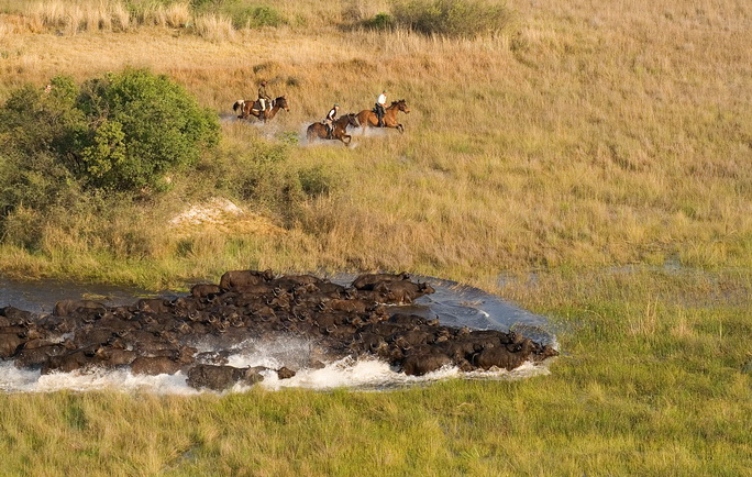 Dovolená na koni: Okavango Horse Safaris