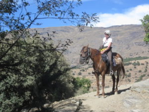 summer & autumn 2012 046