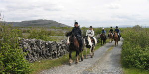 Dovolená na koni: Irsko – hvězdnicovité výlety