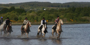 Dovolená na koni: An Sibin – hvězdnicovité výlety