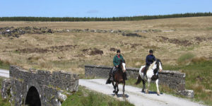 Dovolená na koni: Irské zámky