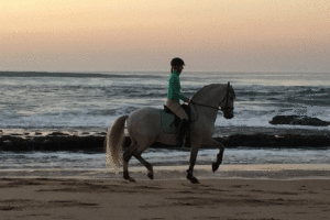 Dovolená na koni: Cascais Riding Club