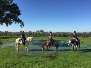 Dovolená na koni: Lusitano Trail