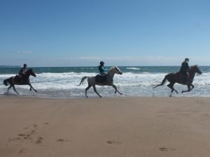 Dovolená na koni: Pláže a louky