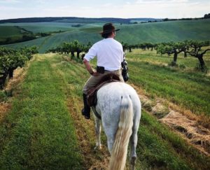 Dovolená na koni: 2 denní výlet za krásami Jižní Moravy s večerem ve sklípku