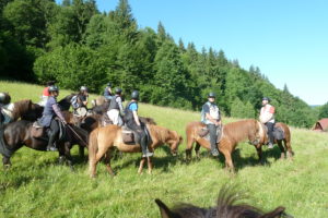 Dovolená na koni: Islandští koně a karpatská divočina