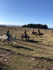 Dovolená na koni: Islandští koně a karpatská divočina – hvězdicovité výlety