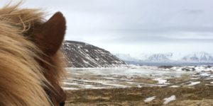 Dovolená na koni: Fascinující sever