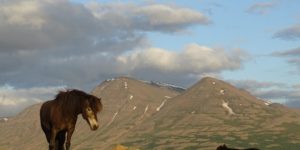 Dovolená na koni: Fascinující sever