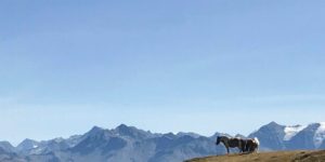 Dovolená na koni: Kolem hory Mont Blanc