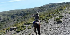 Dovolená na koni: Contraviesa Trail
