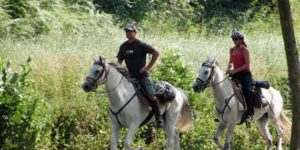 Dovolená na koni: „Pašerácký“ trail
