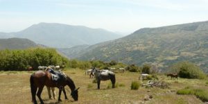 Dovolená na koni: La Poqueira