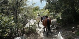 Dovolená na koni: Contraviesa Trail