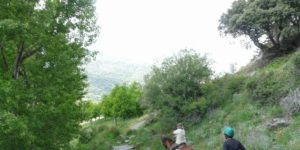 Dovolená na koni: Pyrenejský trail