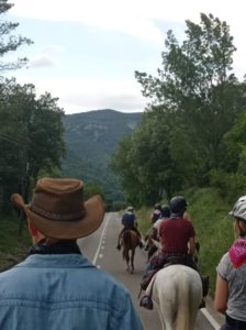 Reference: Cattle Drive