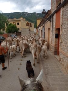 Reference: Cattle Drive