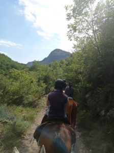 Reference: Cattle Drive