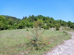 Reference: Cattle Drive