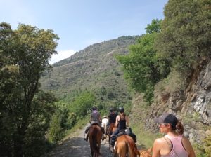 Reference: Cattle Drive