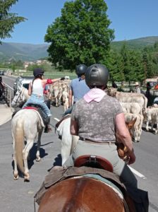 Reference: Cattle Drive