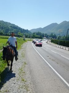 Reference: Cattle Drive