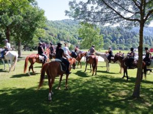 Reference: Cattle Drive