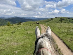 Reference: Rumunsko – Red Lake Trail