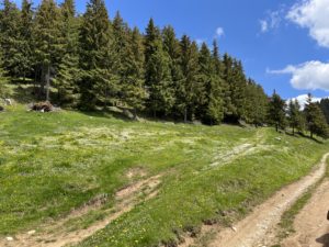 Reference: Rumunsko – Red Lake Trail