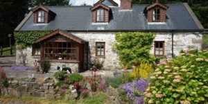 Dovolená na koni: Jízda na koňský trh Ballinasloe