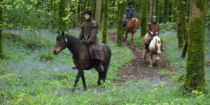 Dovolená na koni: Jízda na koňský trh Ballinasloe